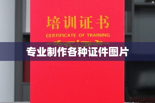 吉隆专业制作各种证件图片
